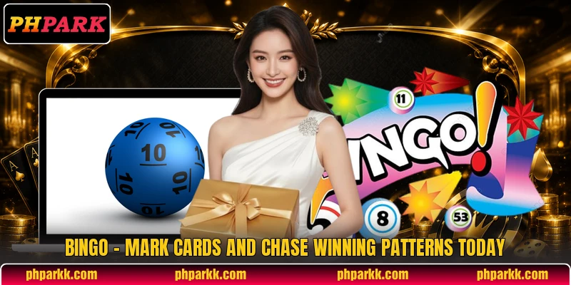 Bingo - Mark Cards And Chase Winning Patterns Today