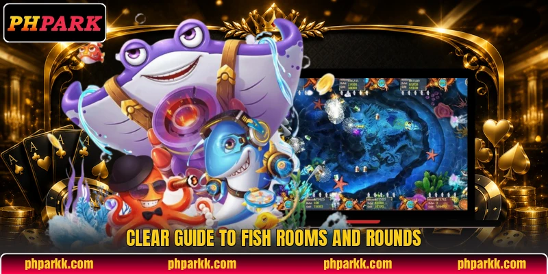 Clear guide to Fish rooms and rounds