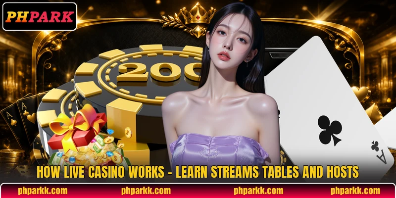 How Live Casino Works - Learn Streams Tables And Hosts