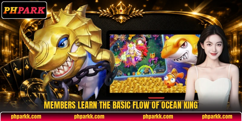 Members learn the basic flow of Ocean King
