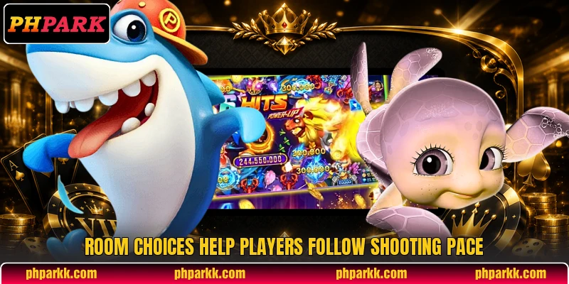 Room choices help players follow shooting pace
